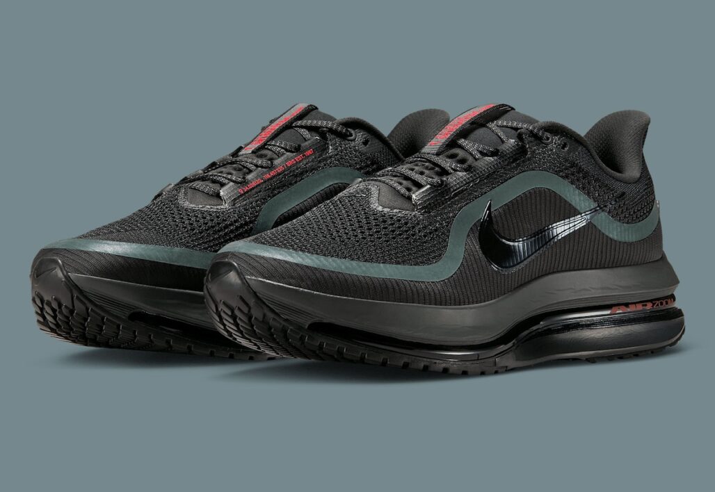 nike-pegasus-premium-
